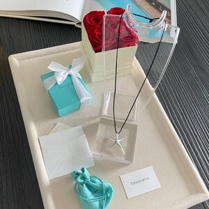 Tiffany & Co. Elsa Peretti Large Starfish Pendant 21” $1,125